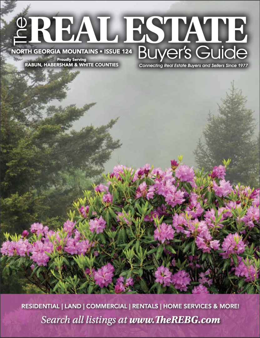  North GA Mountains Real Estate